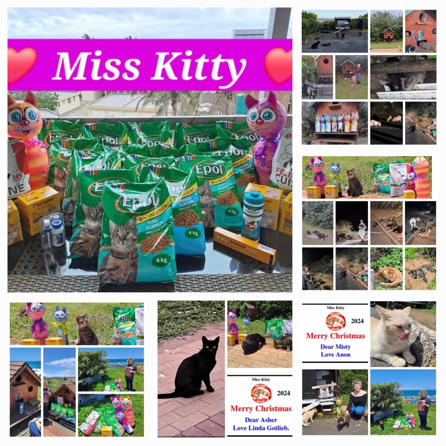 Miss Kity